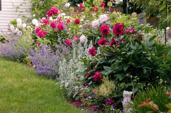 Cum să îngrijești o grădină de flori: Ghid Complet pentru Orezarea Florilor Tale